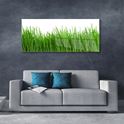 Tableaux sur verre acrylique Herbe nature vert