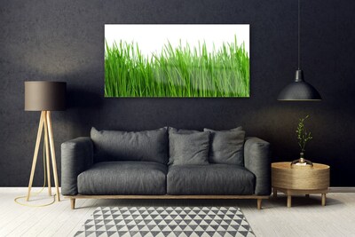 Tableaux sur verre acrylique Herbe nature vert