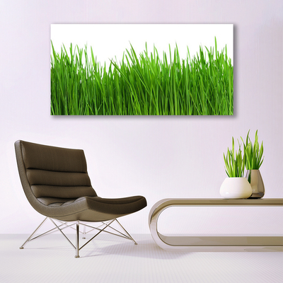 Tableaux sur verre acrylique Herbe nature vert