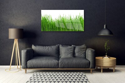 Tableaux sur verre acrylique Herbe nature vert