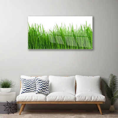 Tableaux sur verre acrylique Herbe nature vert