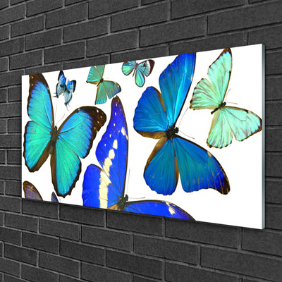 Tableaux sur verre acrylique Papillon nature bleu noir violet