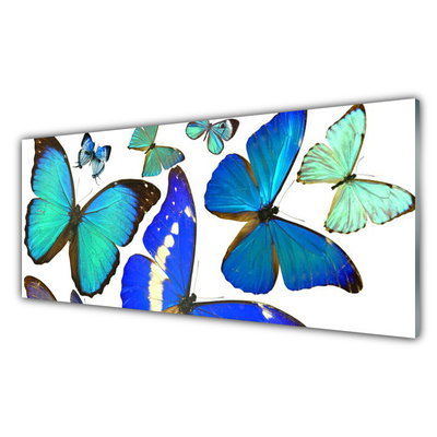 Tableaux sur verre acrylique Papillon nature bleu noir violet