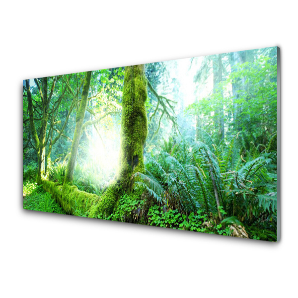 Tableaux sur verre acrylique Forêt nature vert