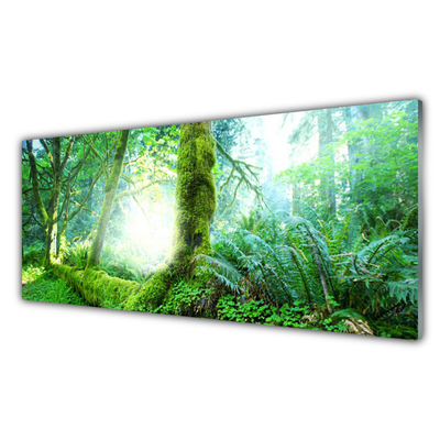 Tableaux sur verre acrylique Forêt nature vert
