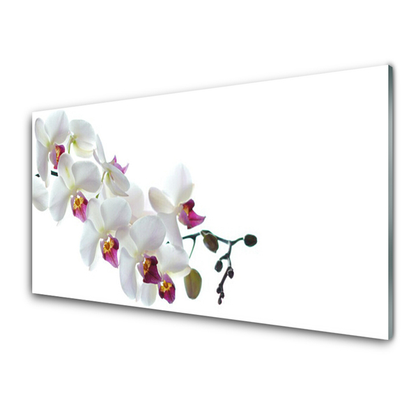 Tableaux sur verre acrylique Fleurs floral blanc