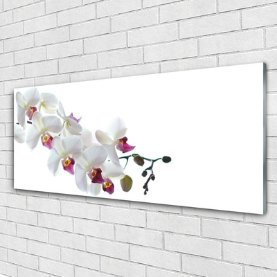 Tableaux sur verre acrylique Fleurs floral blanc