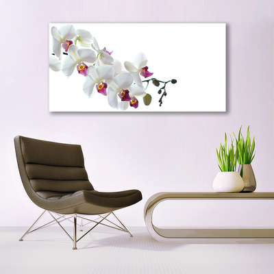 Tableaux sur verre acrylique Fleurs floral blanc