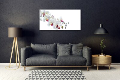 Tableaux sur verre acrylique Fleurs floral blanc