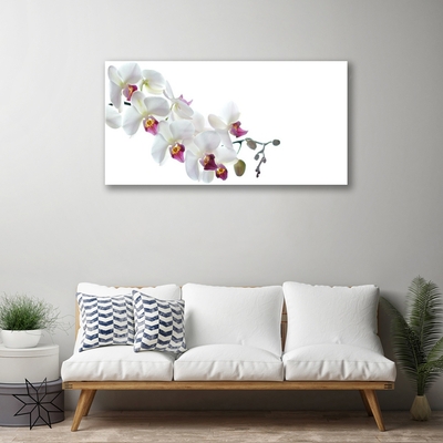 Tableaux sur verre acrylique Fleurs floral blanc