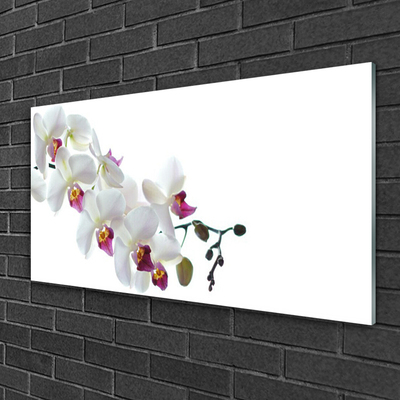 Tableaux sur verre acrylique Fleurs floral blanc