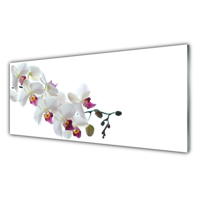 Tableaux sur verre acrylique Fleurs floral blanc