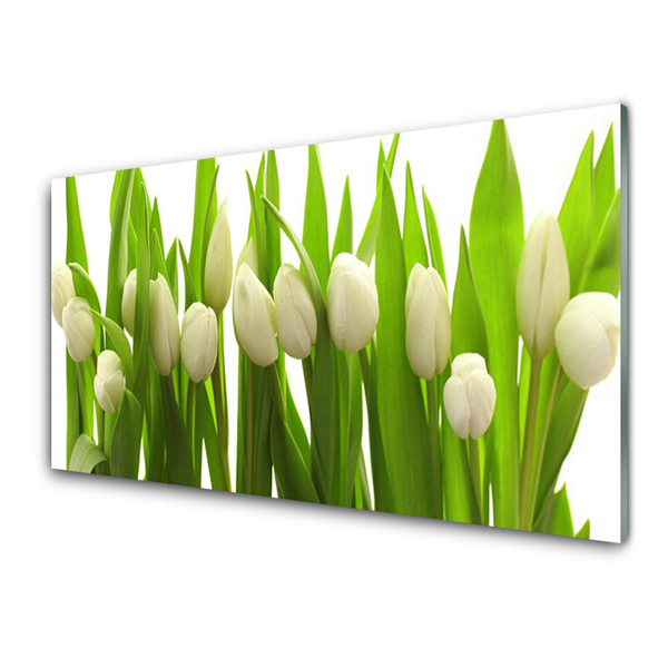 Tableaux sur verre acrylique Tulipes floral blanc vert