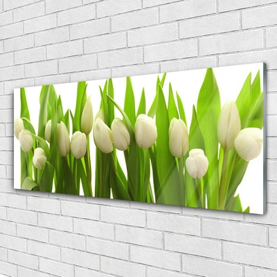 Tableaux sur verre acrylique Tulipes floral blanc vert