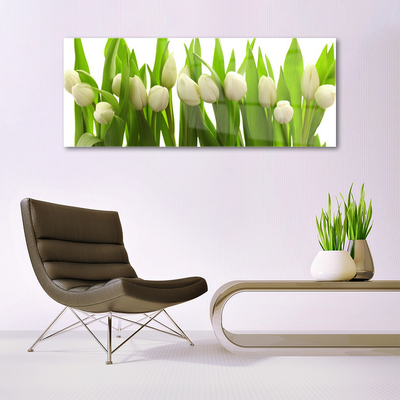 Tableaux sur verre acrylique Tulipes floral blanc vert