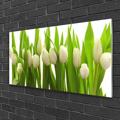 Tableaux sur verre acrylique Tulipes floral blanc vert