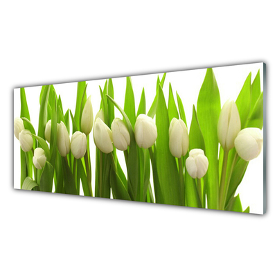 Tableaux sur verre acrylique Tulipes floral blanc vert