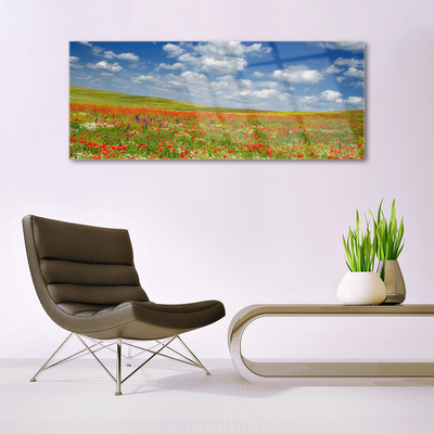 Tableaux sur verre acrylique Fleurs prairie paysage rouge blanc vert