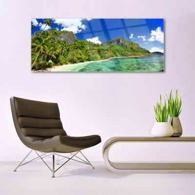 Tableaux sur verre acrylique Montagne plage paysage brun vert