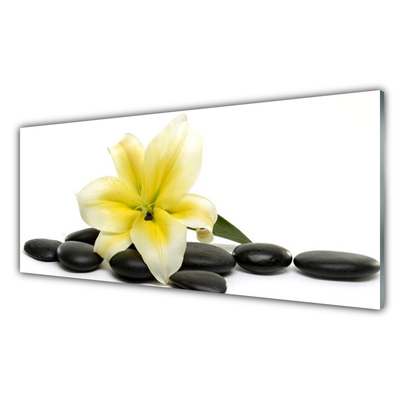 Tableaux sur verre acrylique Fleurs pierres art blanc vert noir