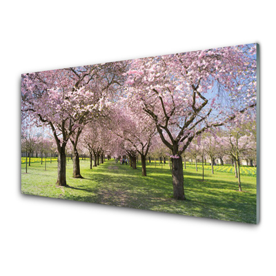 Tableaux sur verre acrylique Arbres sentier nature brun vert rose