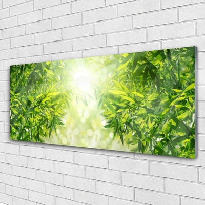 Tableaux sur verre acrylique Feuilles nature vert