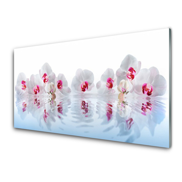Tableaux sur verre acrylique Fleurs art blanc rouge
