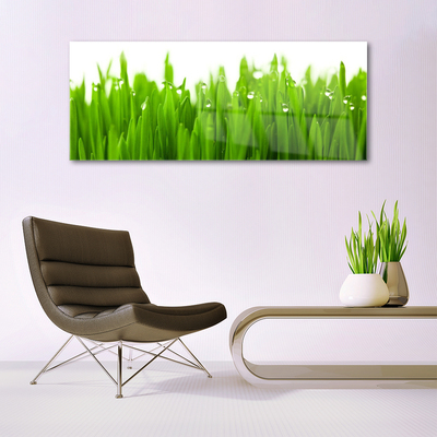 Tableaux sur verre acrylique Herbe nature vert