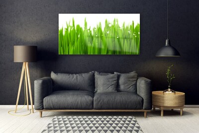 Tableaux sur verre acrylique Herbe nature vert