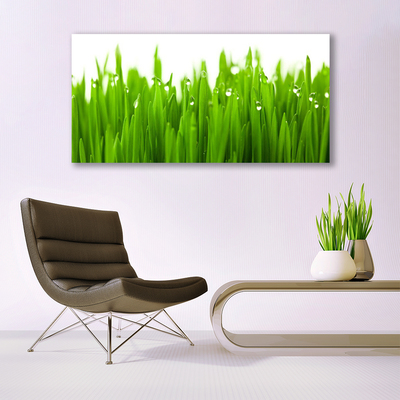 Tableaux sur verre acrylique Herbe nature vert