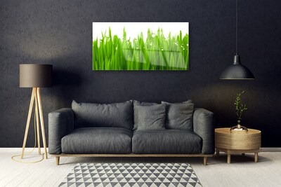 Tableaux sur verre acrylique Herbe nature vert