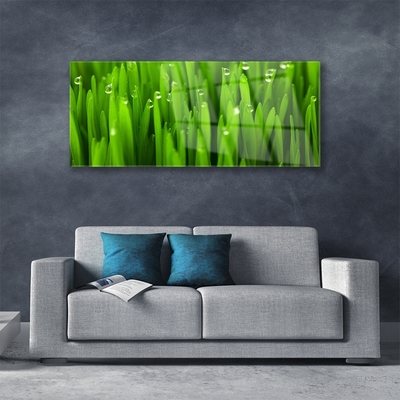 Tableaux sur verre acrylique Herbe nature vert