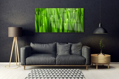 Tableaux sur verre acrylique Herbe nature vert