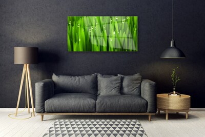 Tableaux sur verre acrylique Herbe nature vert