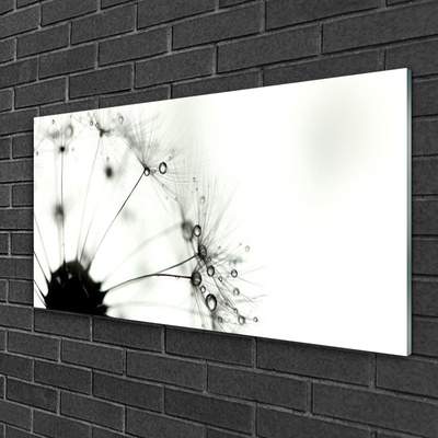 Tableaux sur verre acrylique Pissenlit floral gris noir