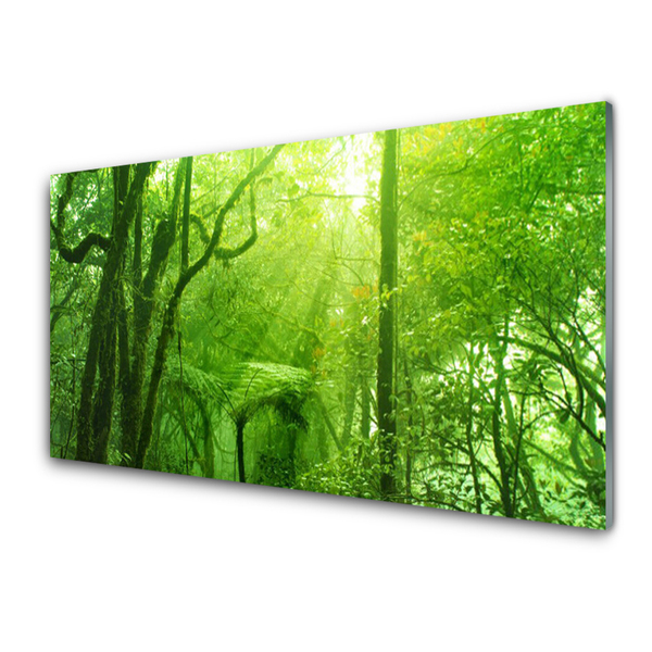 Tableaux sur verre acrylique Arbres nature brun vert