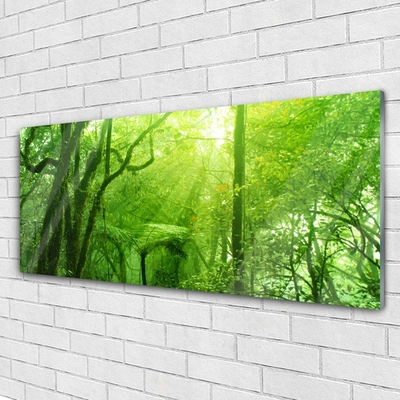 Tableaux sur verre acrylique Arbres nature brun vert