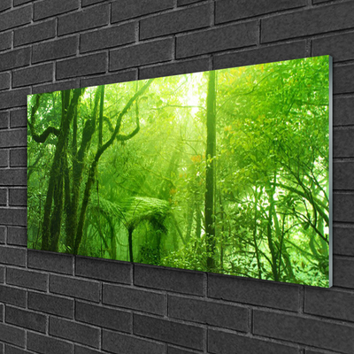 Tableaux sur verre acrylique Arbres nature brun vert