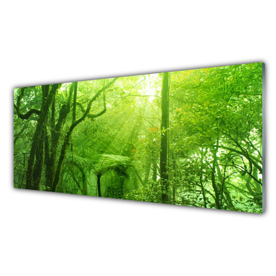 Tableaux sur verre acrylique Arbres nature brun vert