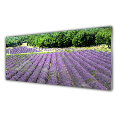 Tableaux sur verre acrylique Fleurs prairie nature violet vert