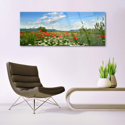 Image sur verre acrylique Fleurs prairie nature vert rouge blanc