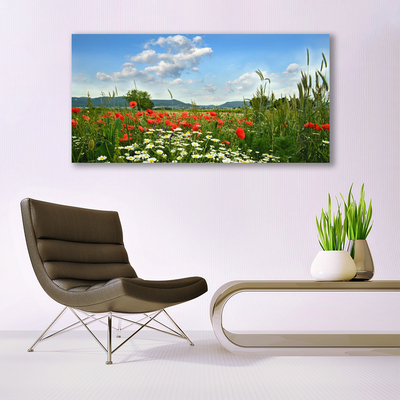 Image sur verre acrylique Fleurs prairie nature vert rouge blanc