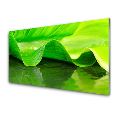 Image sur verre acrylique Feuille floral vert