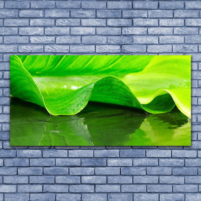 Image sur verre acrylique Feuille floral vert