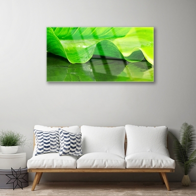 Image sur verre acrylique Feuille floral vert