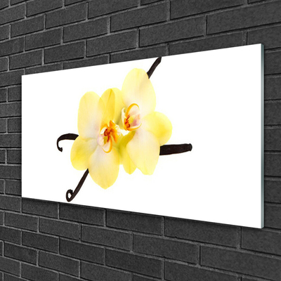 Image sur verre acrylique Fleurs floral blanc jaune brun