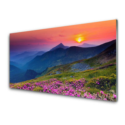 Image sur verre acrylique Montagnes prairie fleurs paysage jaune bleu vert rose