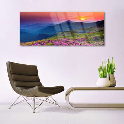 Image sur verre acrylique Montagnes prairie fleurs paysage jaune bleu vert rose