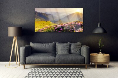 Image sur verre acrylique Prairie montagne paysage vert rose gris