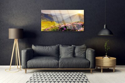 Image sur verre acrylique Prairie montagne paysage vert rose gris